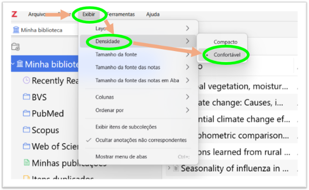 Tela Configuraçãos Zotero