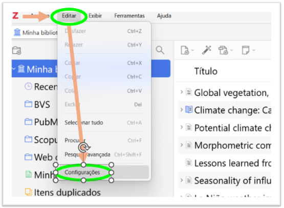 Tela Configuraçãos Zotero